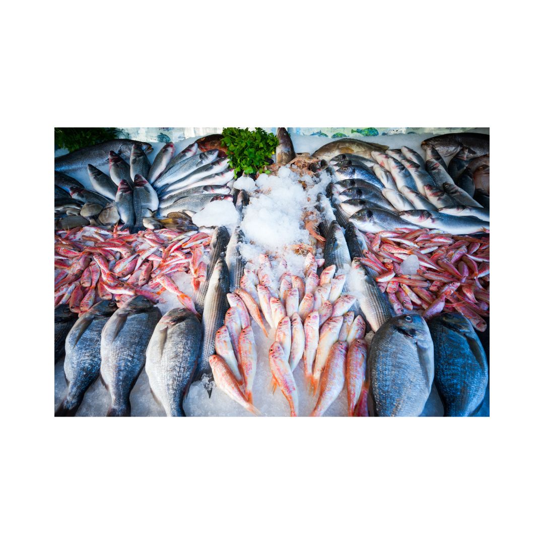 Wholesale Seafood Opportunity